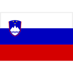 斯洛文尼亚室内足球队